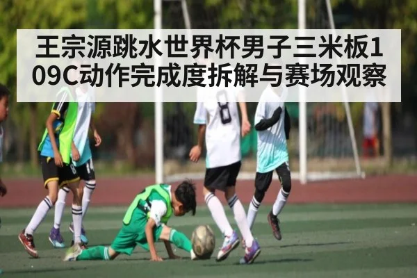 王宗源跳水世界杯男子三米板109C动作完成度拆解与赛场观察